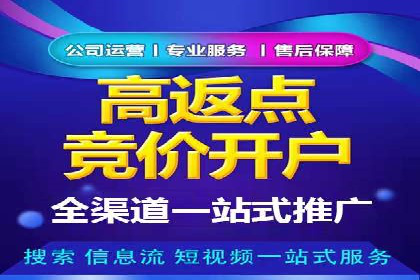 百度SEO推广策略调整：一个成功的调整案例
